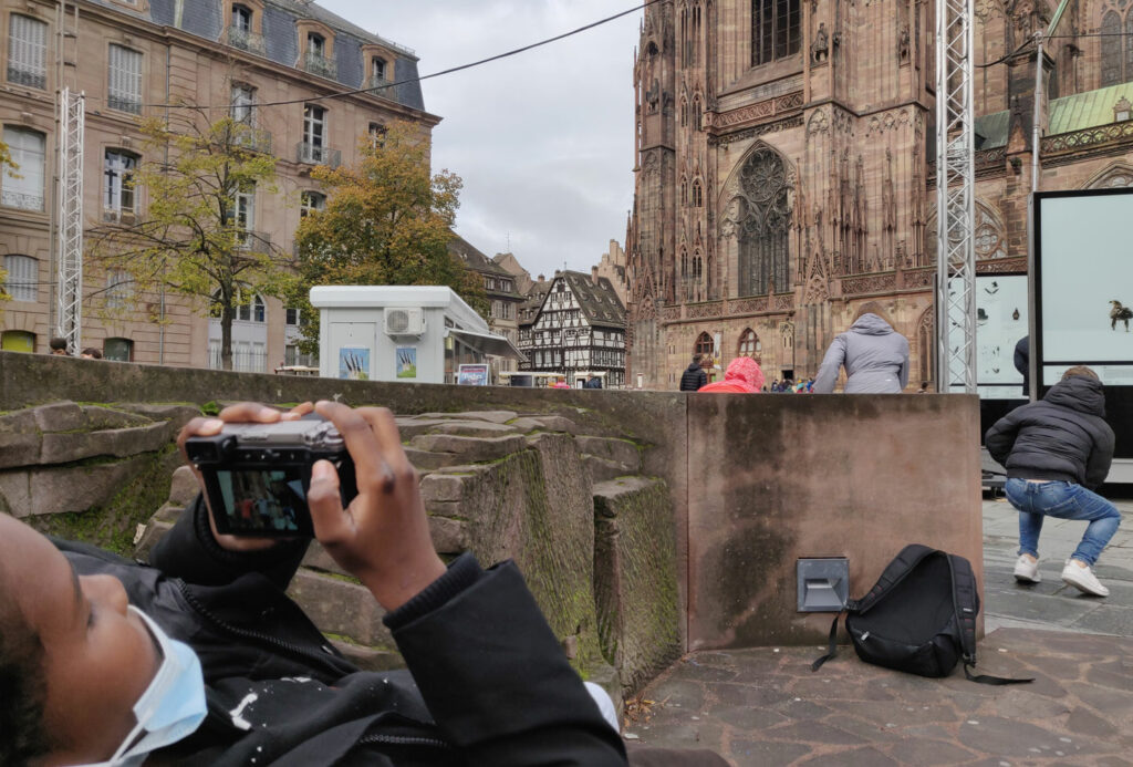 La cathédrale de strasbourg dans tous ses états